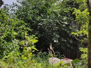 It is always a pleasure to harvest 16/16