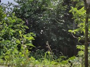 It is always a pleasure to harvest 2/16