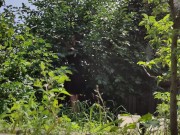 It is always a pleasure to harvest 4/16