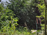 It is always a pleasure to harvest 6/16