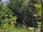 It is always a pleasure to harvest 8/16