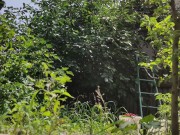 It is always a pleasure to harvest 9/16