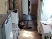 This time I'm walking around the kitchen 6/16