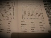 Hawaiian Fish. Word Search 2 3/16