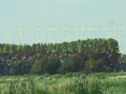 Nasty Indra flashes and give blowjob in Car at restarea 1/16