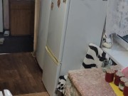 Canning raspberries 11/16