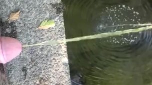 Peeing off a public bridge