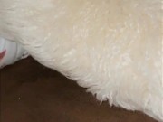 La voisine se prend une éjac faciale pendant le match de foot après une SODO bien HARD 10/16