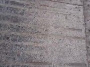 Cogiendo con DESCONOCIDO después de enseñarle la ciudad 7/16