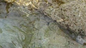 HOT TEEN MASTURBATES AT RIVER AND CUMS *OUTDOOR FUN*
