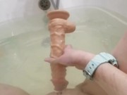 Kitty plays in the bathroom with a huge toy Loly_Kitty