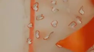 Titty clip 