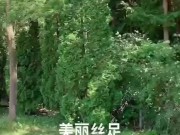 漂亮的旗袍搭配白丝袜 5/16