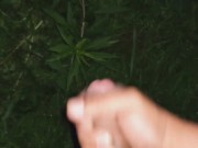 Midnight release  - Screenshot 12 of 16 - Outdoor