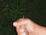 Midnight release  - Screenshot 16 of 16 - Outdoor
