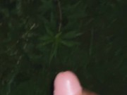 Midnight release  - Screenshot 6 of 16 - Exhibitionist