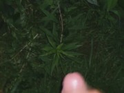 Midnight release  - Screenshot 7 of 16 - Daddy
