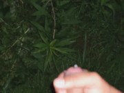 Midnight release  - Screenshot 9 of 16 - HD