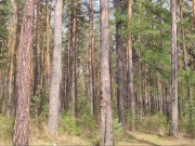 Beautiful public estim outdoor cum 1/16