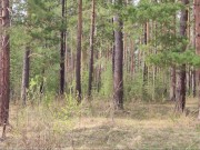 Beautiful public estim outdoor cum 4/16