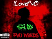 ILovePvO - PvO Woods 7
