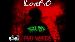 ILovePvO - PvO Woods 3