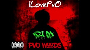 ILovePvO - PvO Woods 2