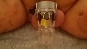Chubby castiti cage vibrator cum