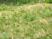 Sex, blowjob and cum on face in the park 6/16