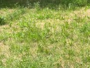 Sex, blowjob and cum on face in the park 8/16