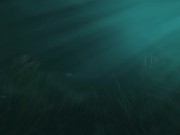 EXPLICIT Sex Toy Review for the Kraken from Leyuto - NSFW by Naughty Adeline - pussy and anal test 14/16