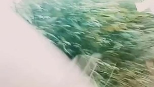 Extreme ball weights Naked in bushes at roadside