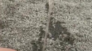 ich pisse so gerne auf den teppich