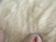 Отшлепал шикарнейшую суку, скачет на моем члене SimpleeDimplee 11/16