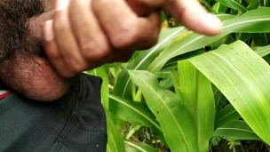 Outdoor handjob and cumshot on grass