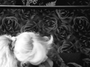 Swedish stripper, stockings, huge boobs gives blowjob and gets pussy licked 5/16