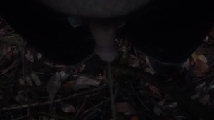 Peeing in the evening outdoors