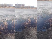 HI PEOPLE, WHAT A NICE DAY) SEE MY TIT?) 10/16