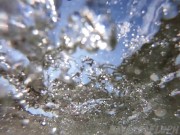 Frolicking Fluph: Pulic Beach Belly Play