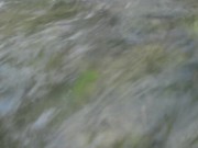 Walking through water - Screenshot 14 of 16 - Water