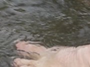 Walking through water