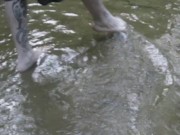playing with nature - Screenshot 12 of 16 - Wet