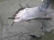 playing with nature - Screenshot 5 of 16 - Barefoot