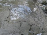 playing with nature - Screenshot 7 of 16 - Wet