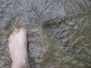 Sexy toe play in water