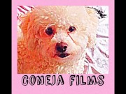 Busty blonde puts her full hand in her vagina, masturbates her pussy until she bounces, puts her fin 1/16