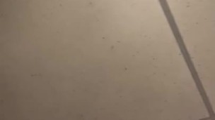 I'm pissing into the corridor of the house