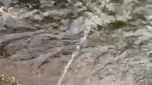 Boy Pisses Outdoors, Doesn't Get Caught