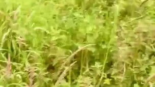 Bare Feet Wank - Horny Lad Cums And Moans