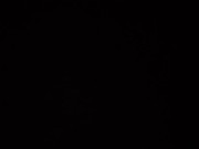 ASMR Rainy Evening Piss in the Woods (Headphones recomended) 8/16